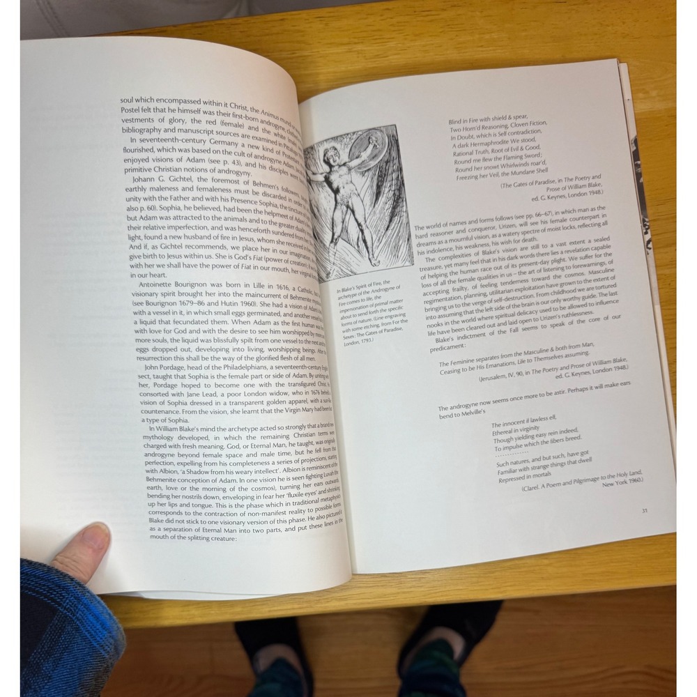 The Androgyne by Elemiere Zolla Illustrated Book Reconciliation Male Female 1981 - Picture 5 of 10
